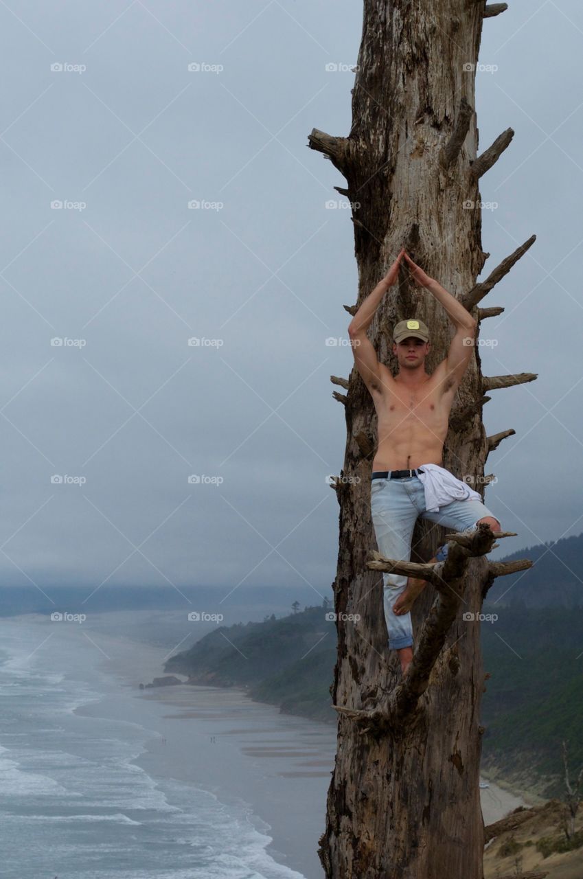 No Person, One, Outdoors, Tree, Wood