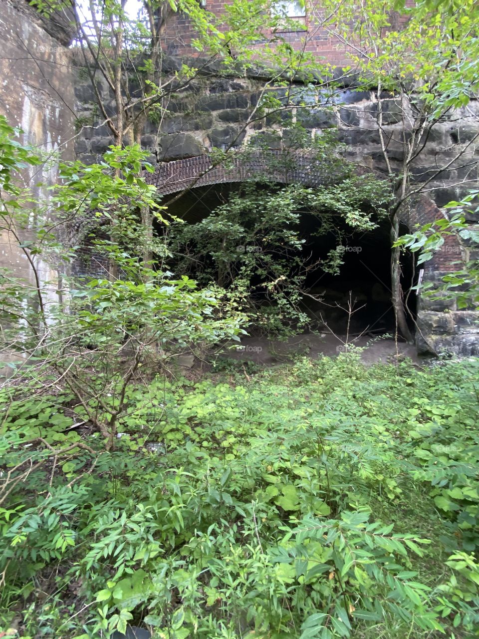 Abandoned railroad tunnel 