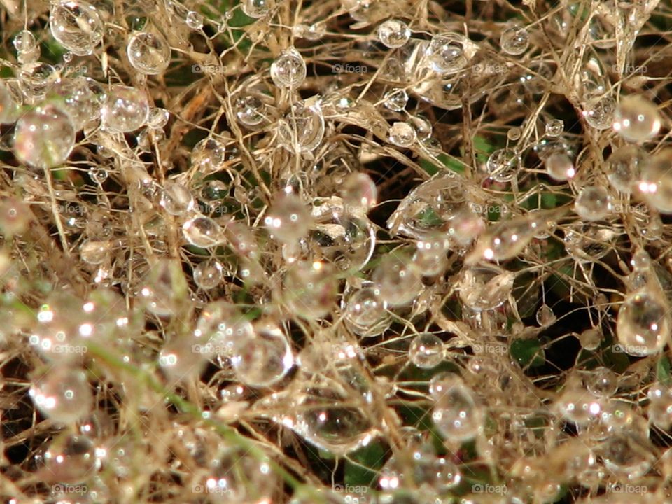 Micro Drops