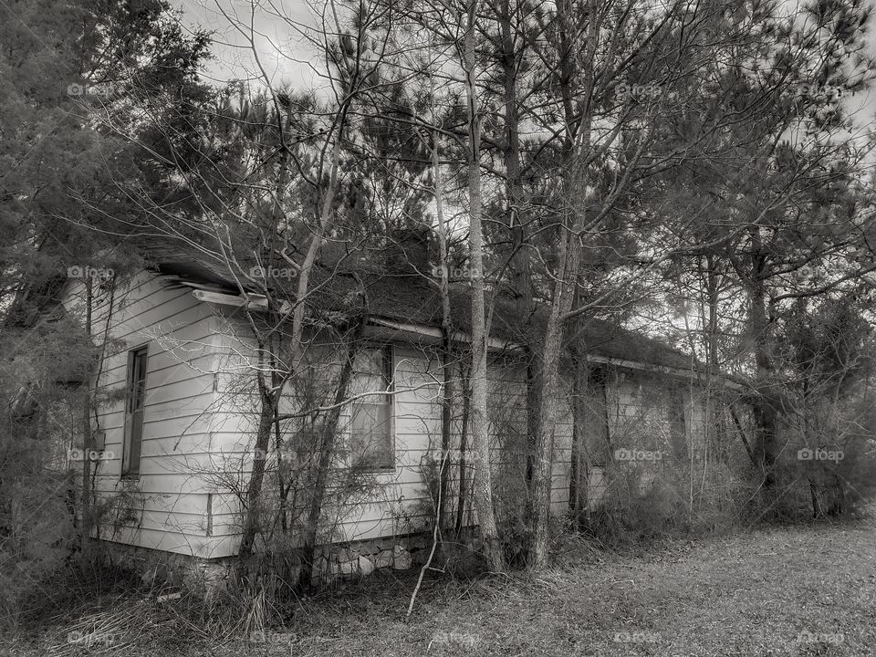 She’s Lost and Lonely 