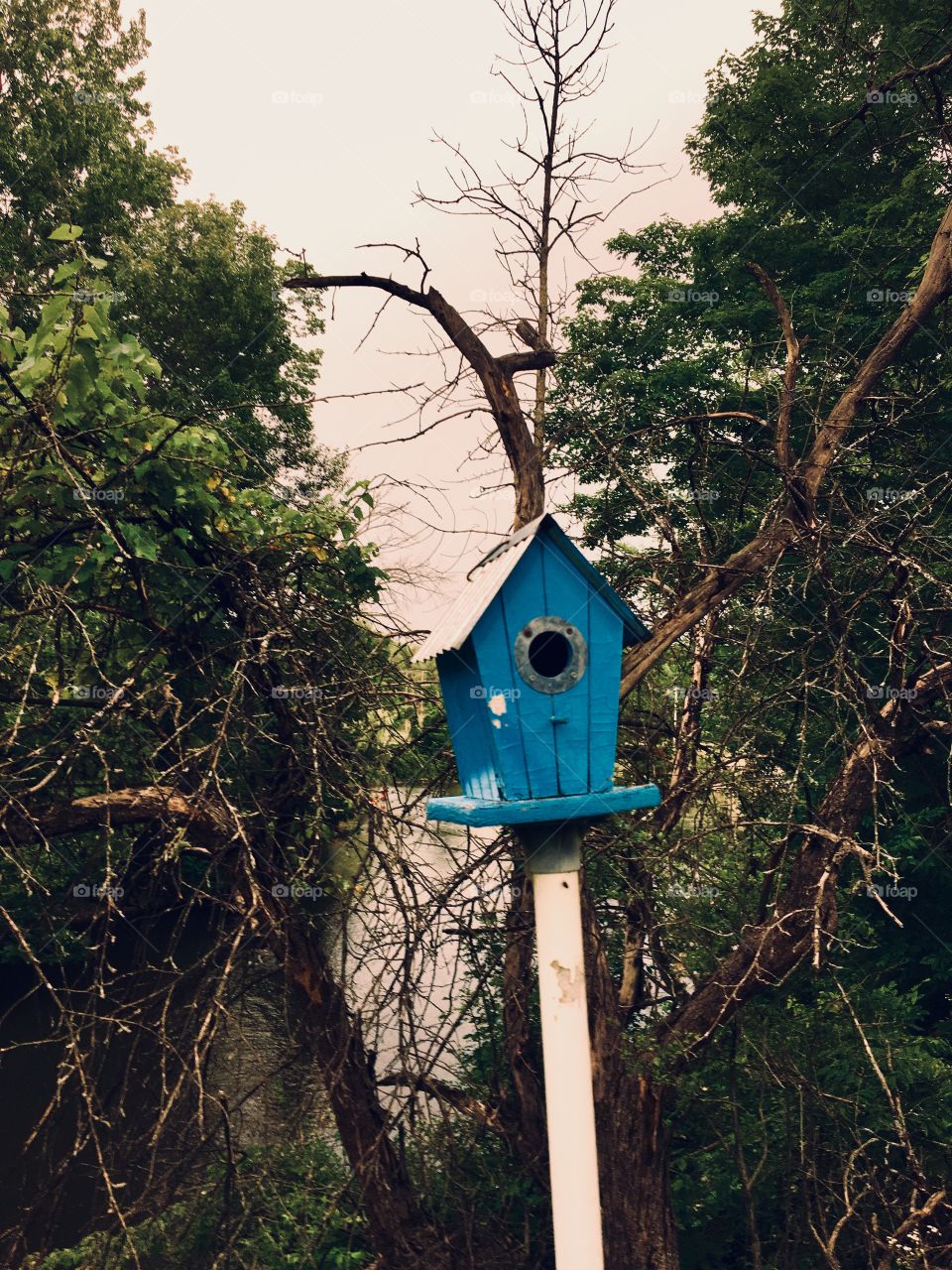 An old bird house I found near an abandoned home.  In Northern Lower Michigan.