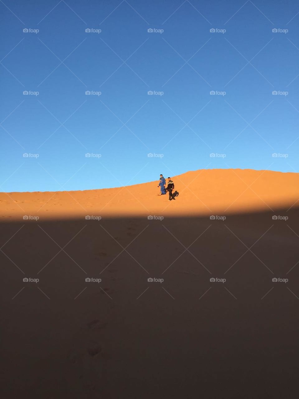 amazing desert . colorful of desert