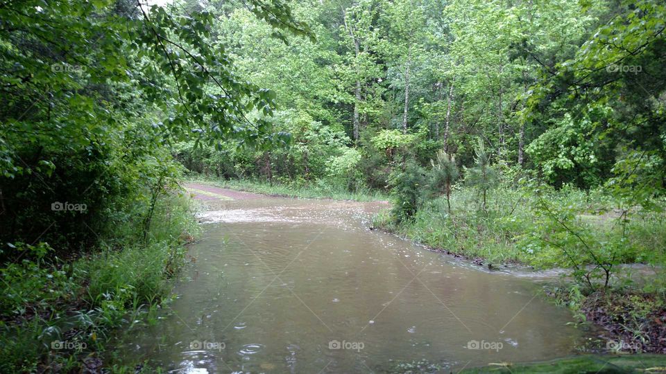 creek crossing