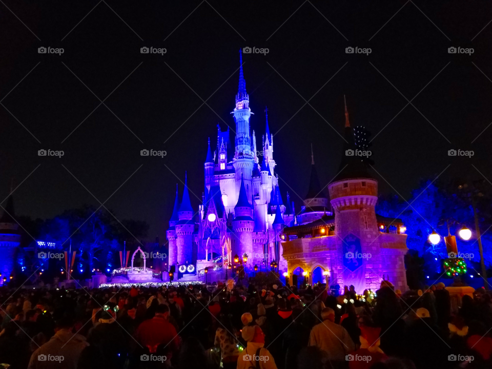 Rich purples and blues adorn the walls and march dutifully across