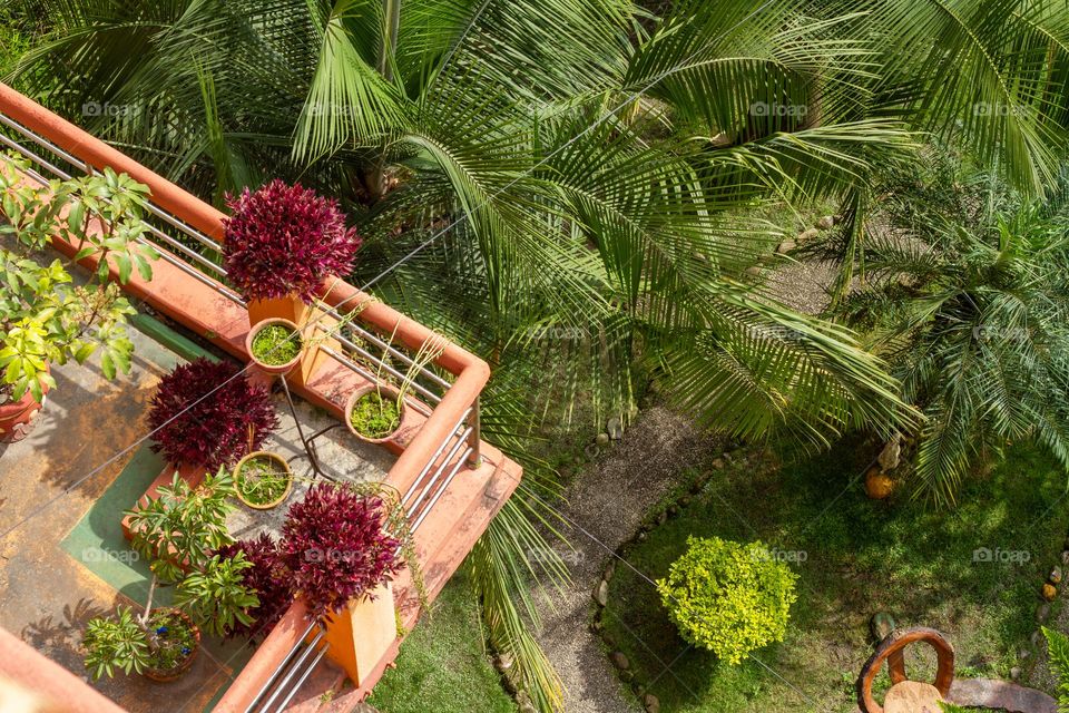 Lush green garden view from rooftop in Kathmandu, Nepal
