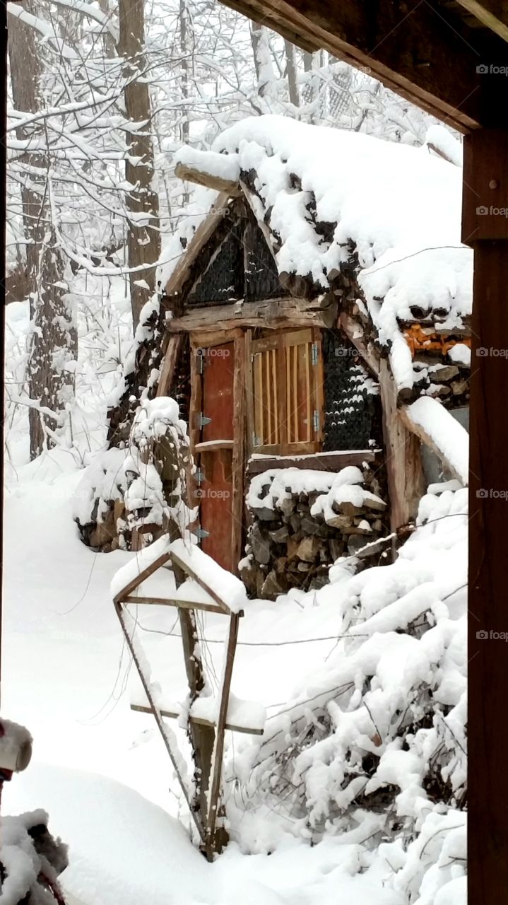 Snow Cabin. New York blizzard 2016
