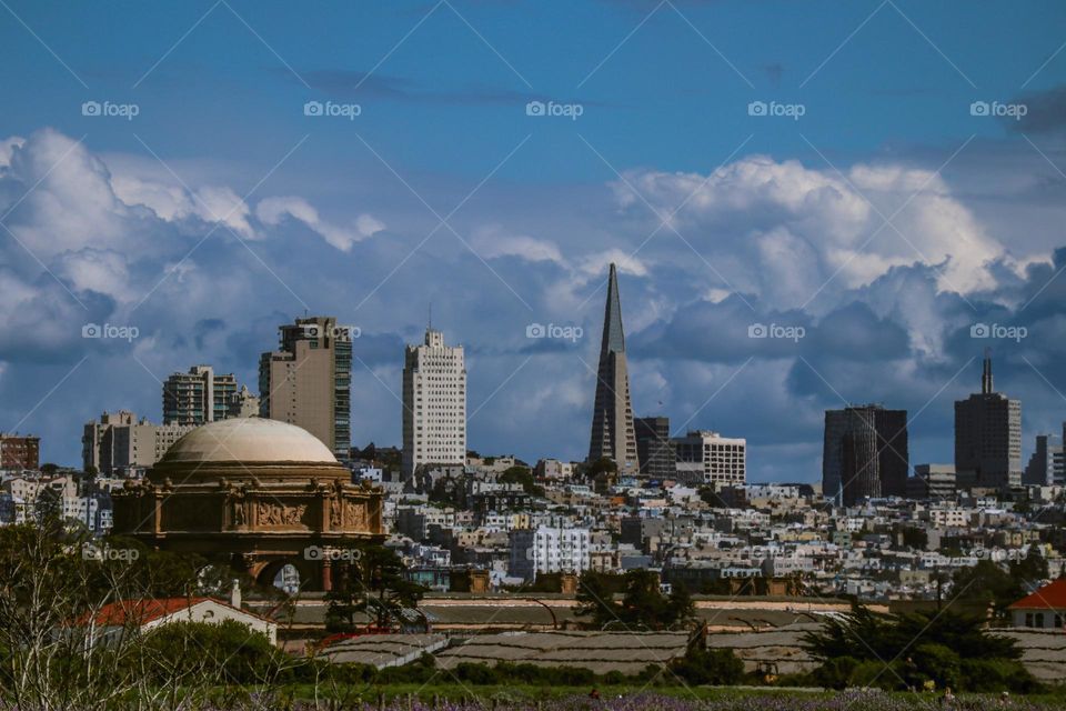 View of the San Francisco city skyline from Chrissy field with the palace of fine arts in the foreground 