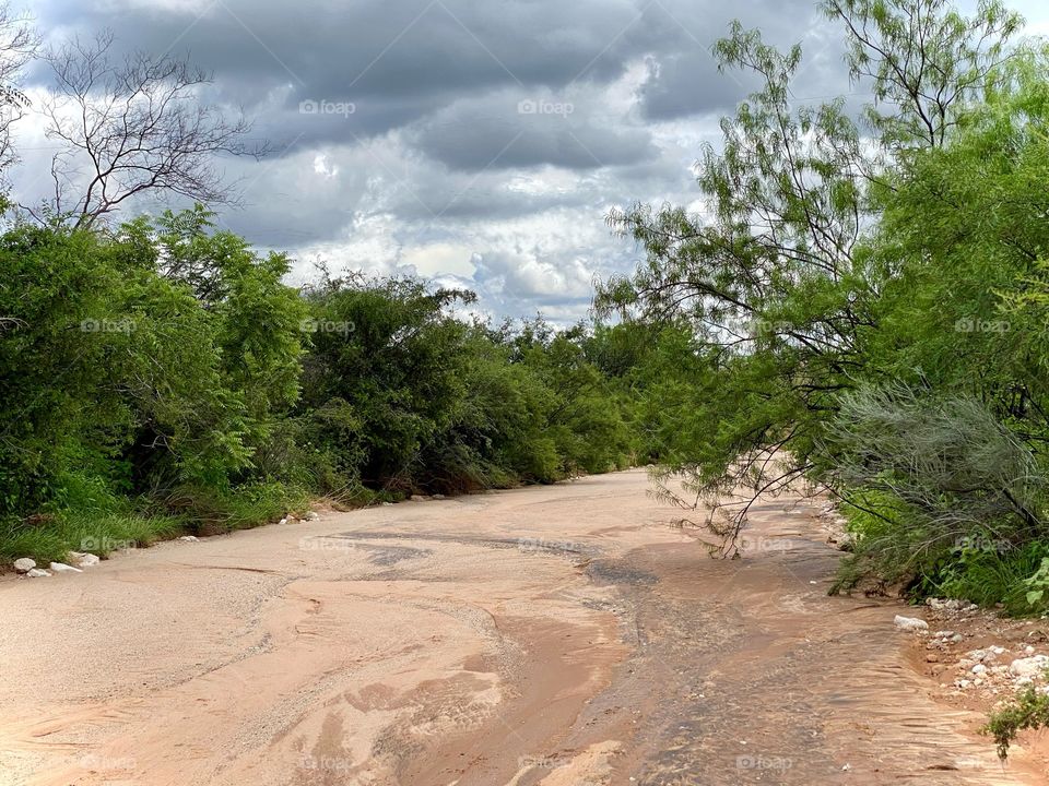 Monsoon season and walking the wash