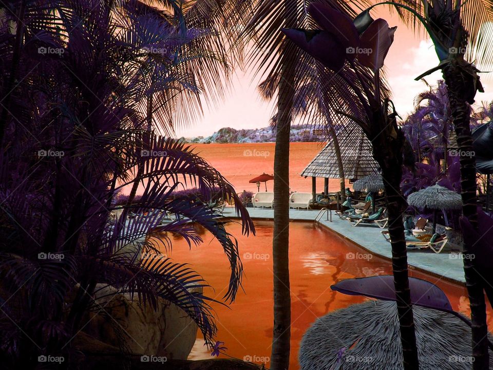Orange pool with palm trees in Resort