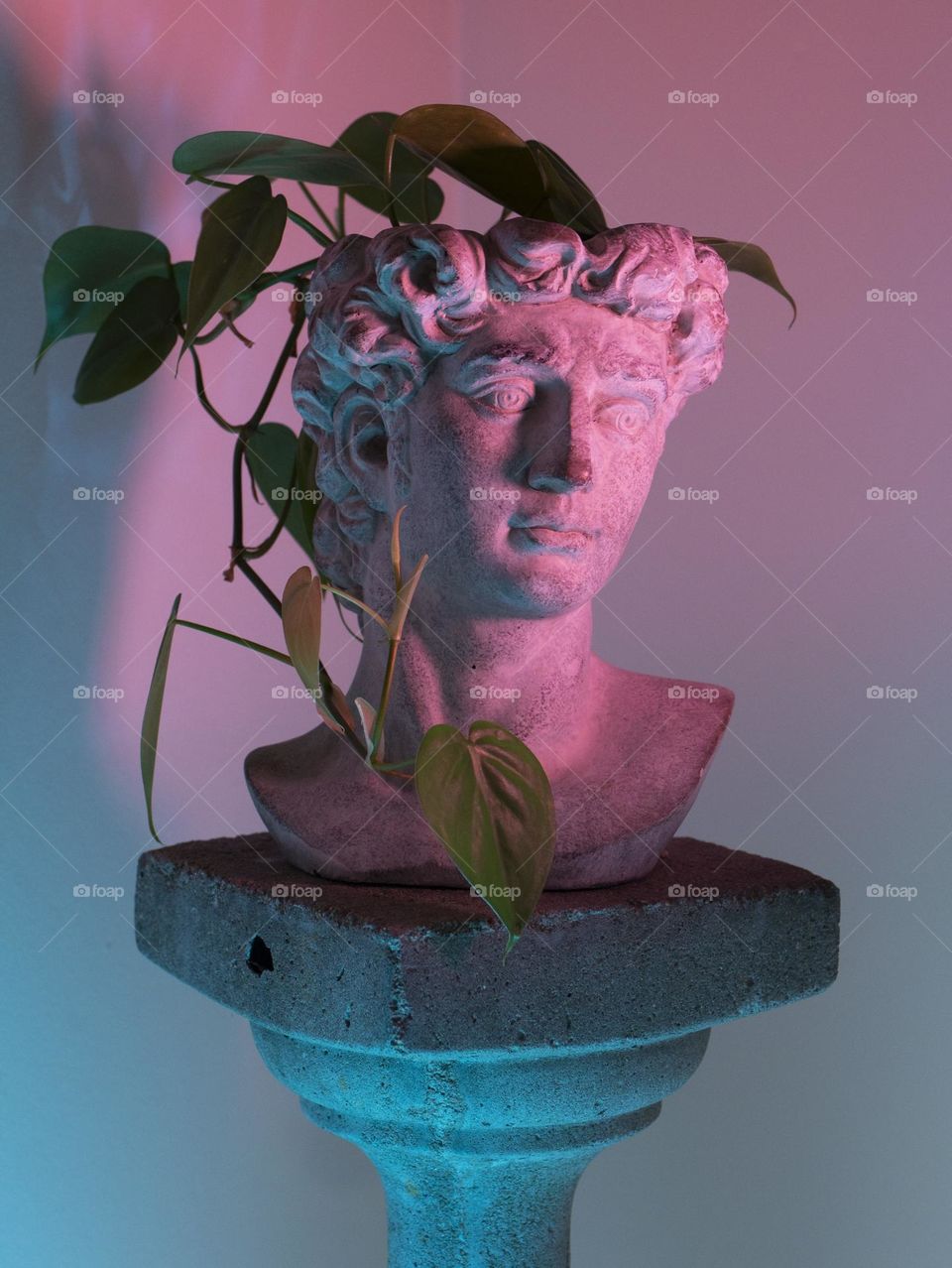Plant in a concrete vase shaped like a head