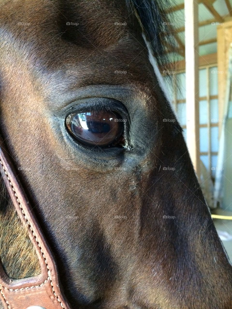 It's all about the eyes