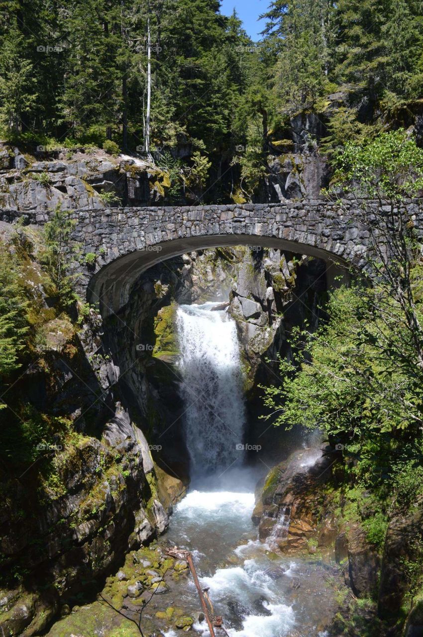 Bridge in Mount Rainier National Park