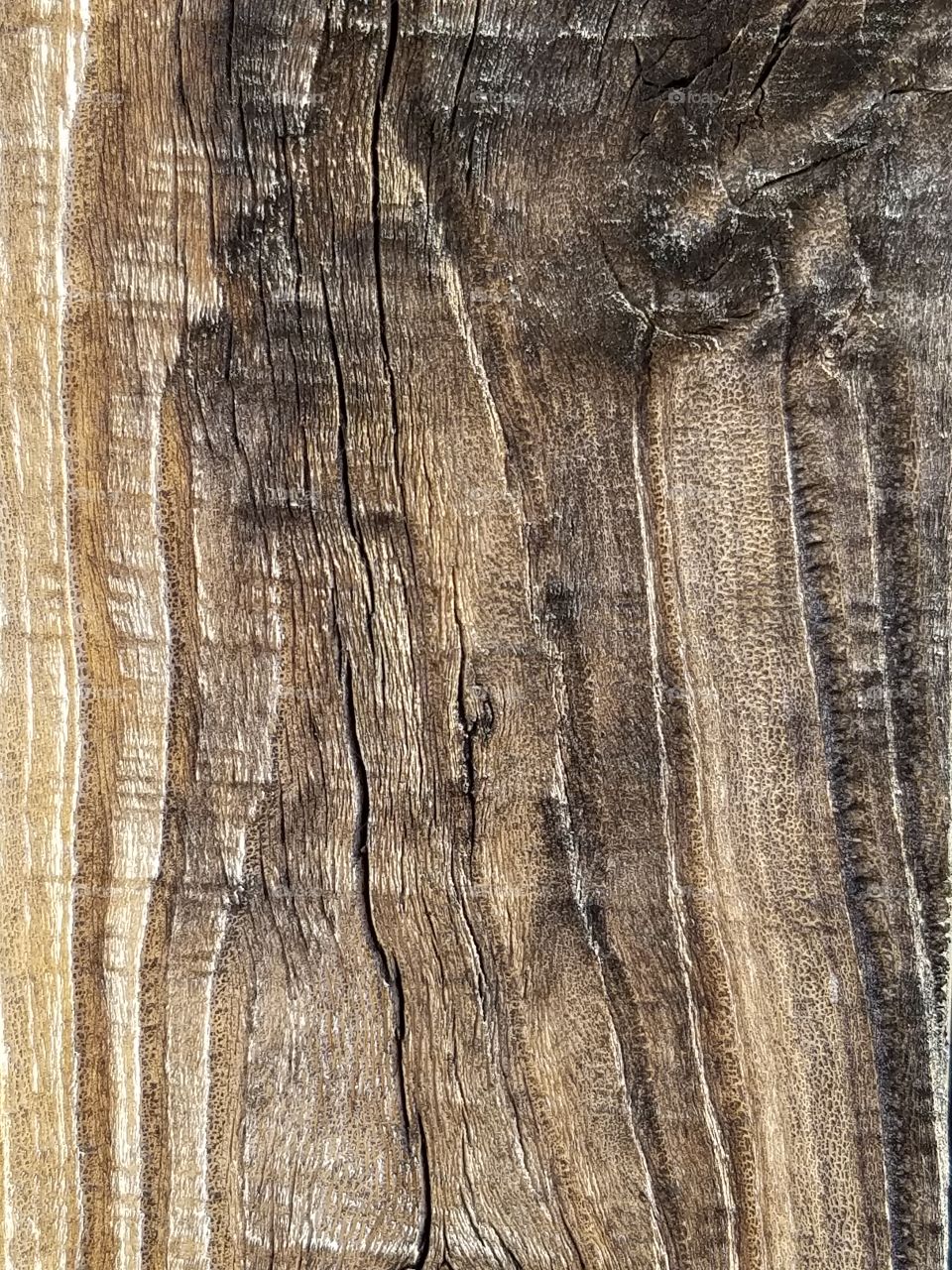 rough wood