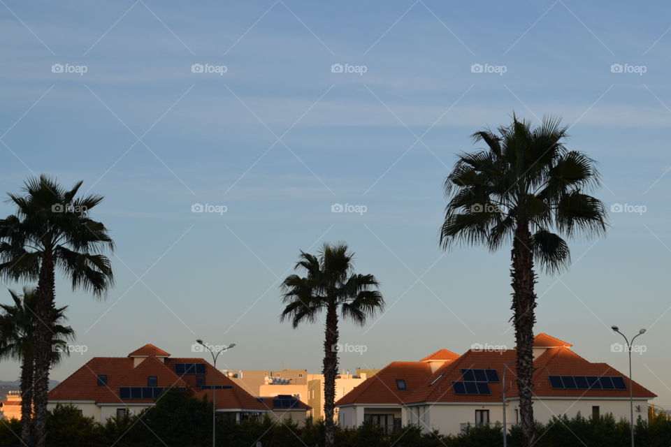 Geometrically beautiful