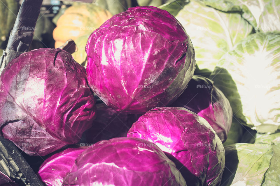 Crazy purple cabbage