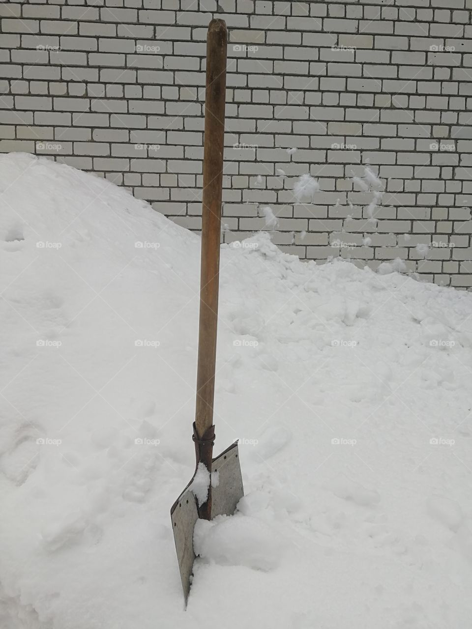 Shovel in the snow