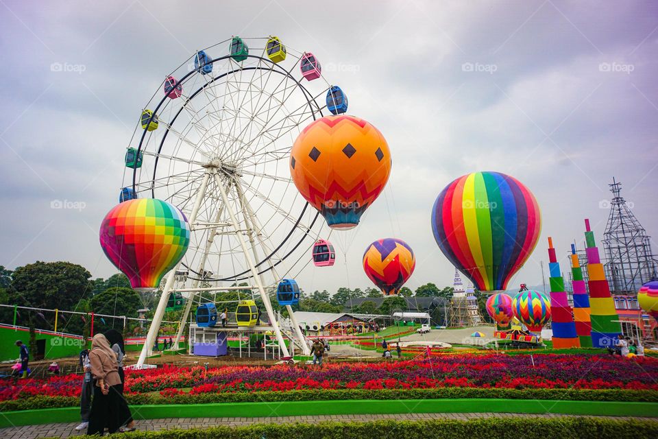 new celosia from indonesia