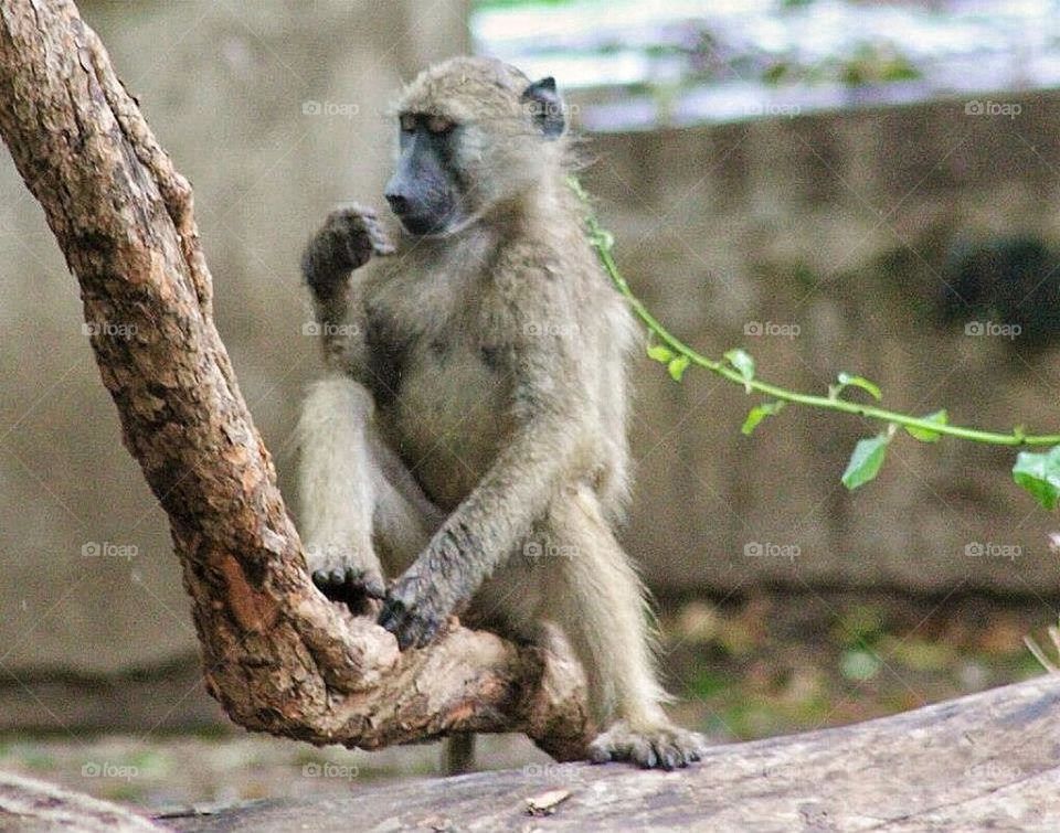 I think it's time for a manicure