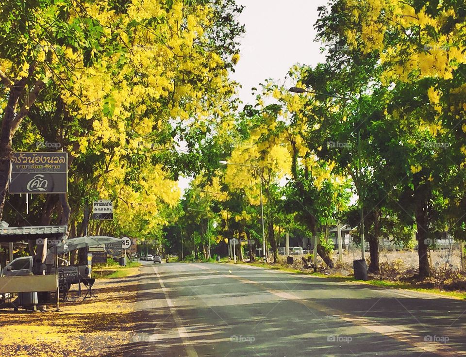 Romantic street