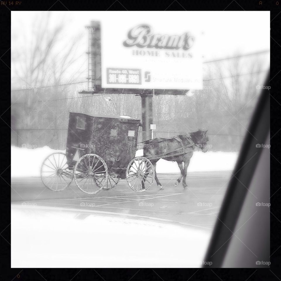 Horse and Buggy