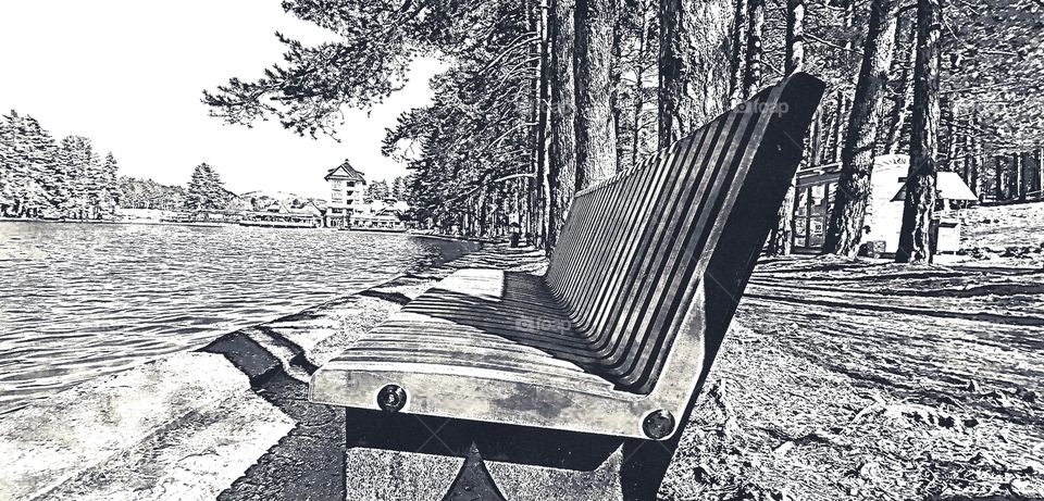 Bench, Monochrome, Winter, Snow, No Person