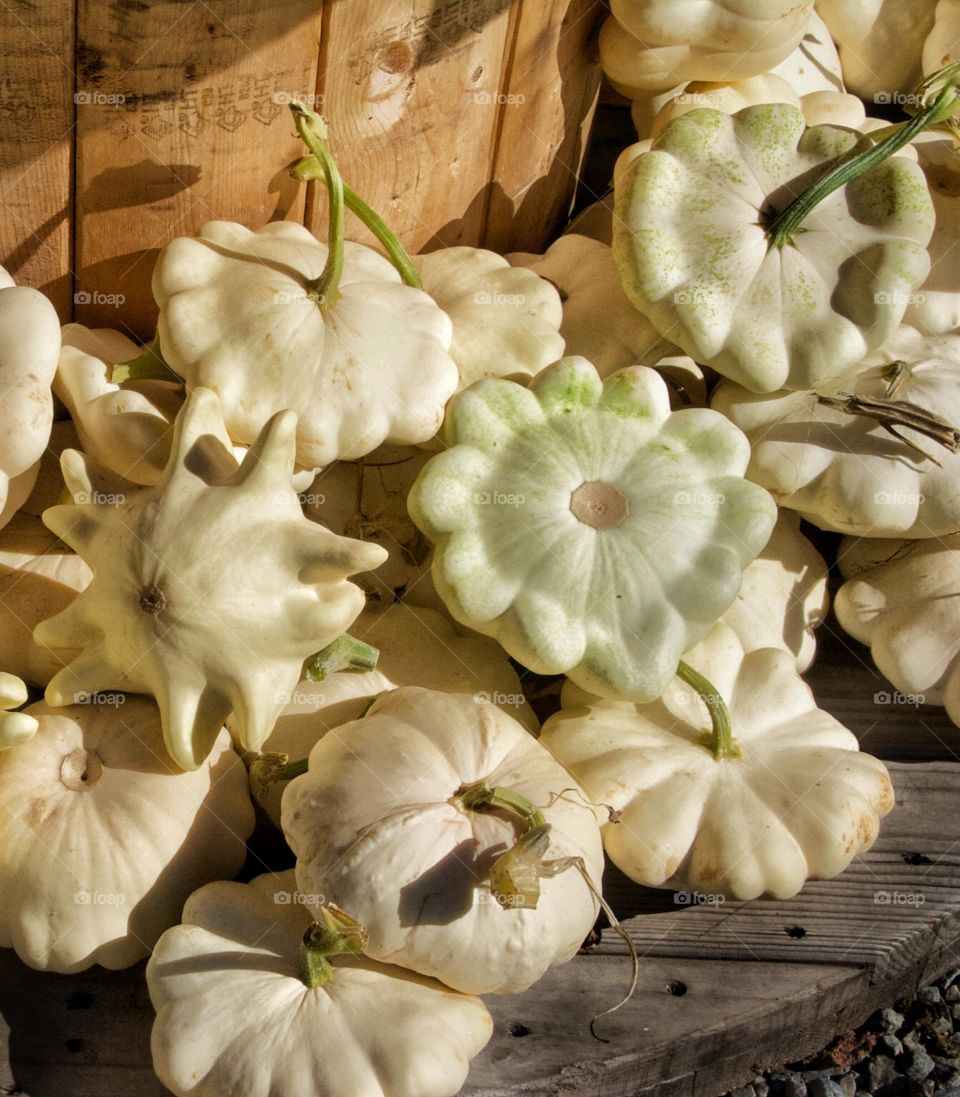 White squash and pumpkins