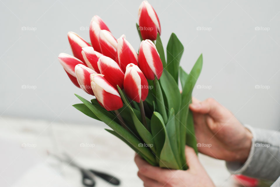 Florist male hands hold a bouquet of red tulips. Making floral gift arrangement. Spring flowers tulips