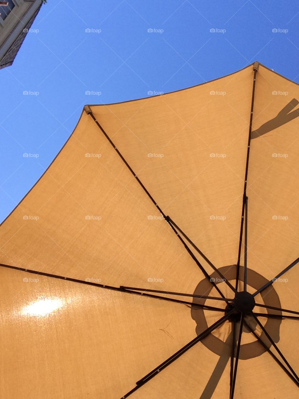 Throwin' Shade. Large umbrella near the pool provides a shady spot to sit and enjoy this beautiful late summer NC day. 