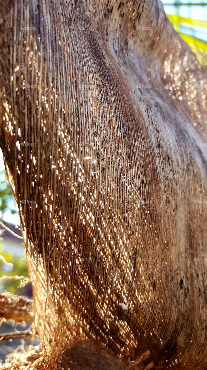 Creative texture Fibra de cocô