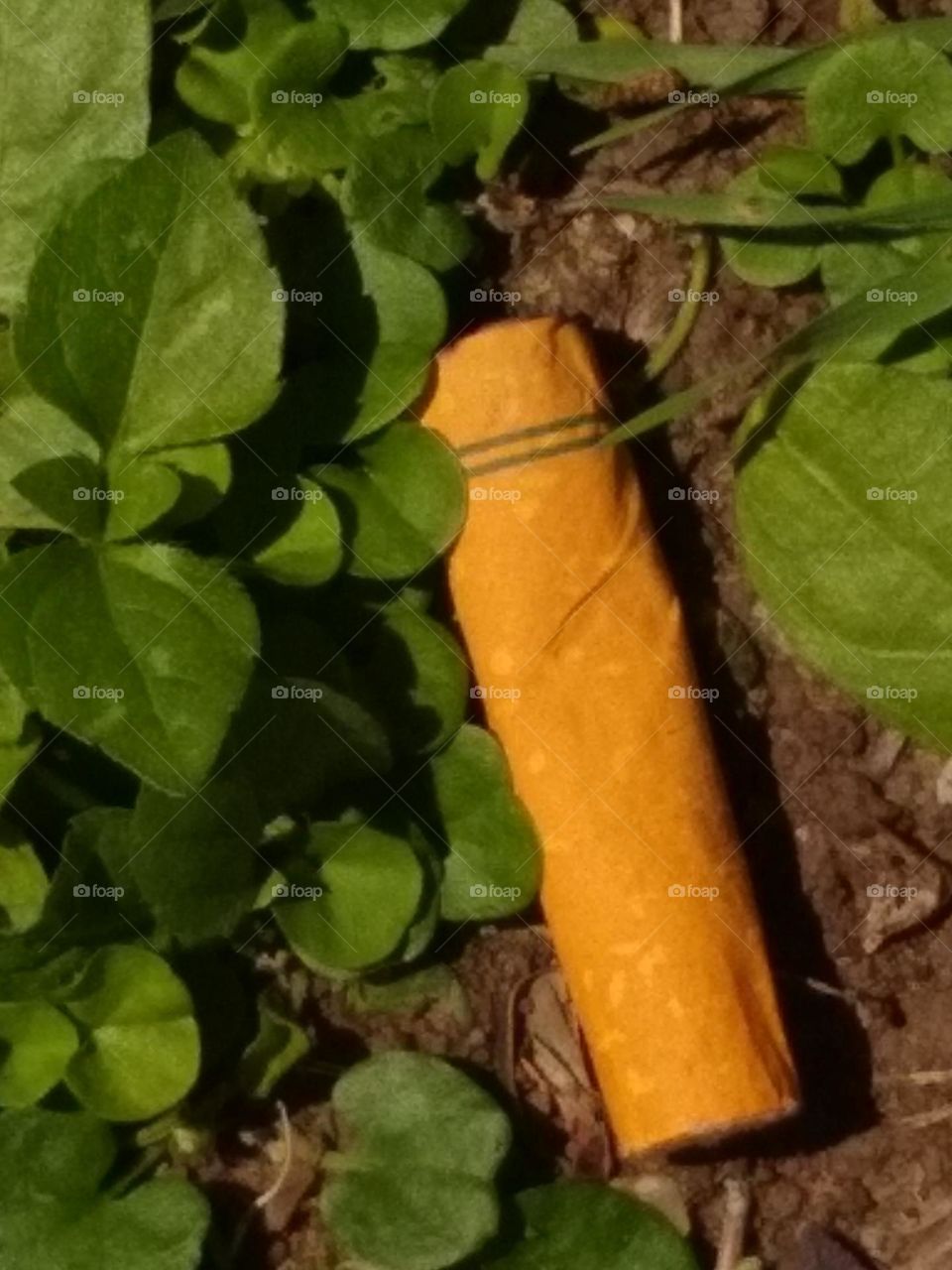 Cigarette butts on the ground. They wanted ALL THE SMOKE😅🚬💨😤!