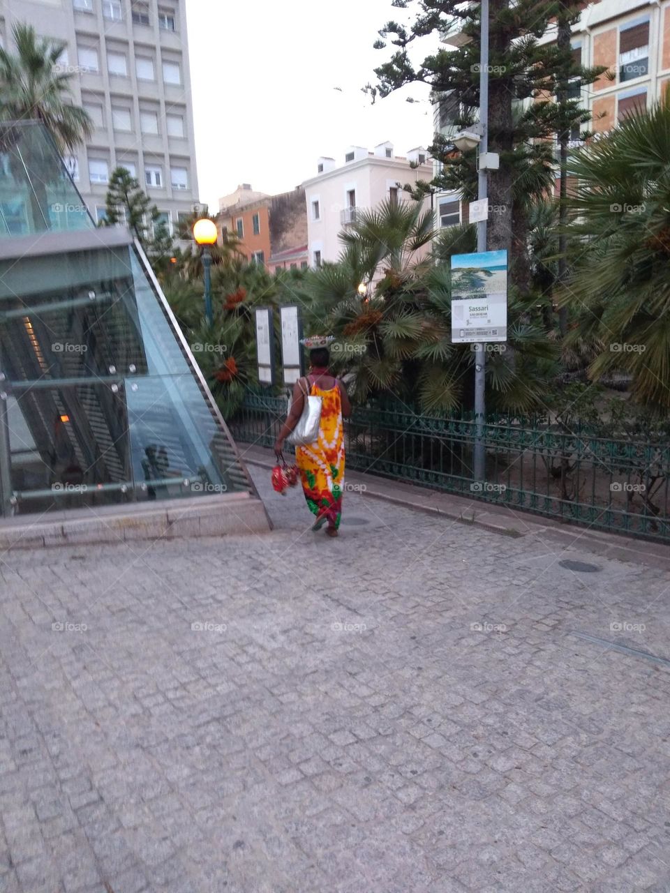 Editors' Choice - Photo of the Week