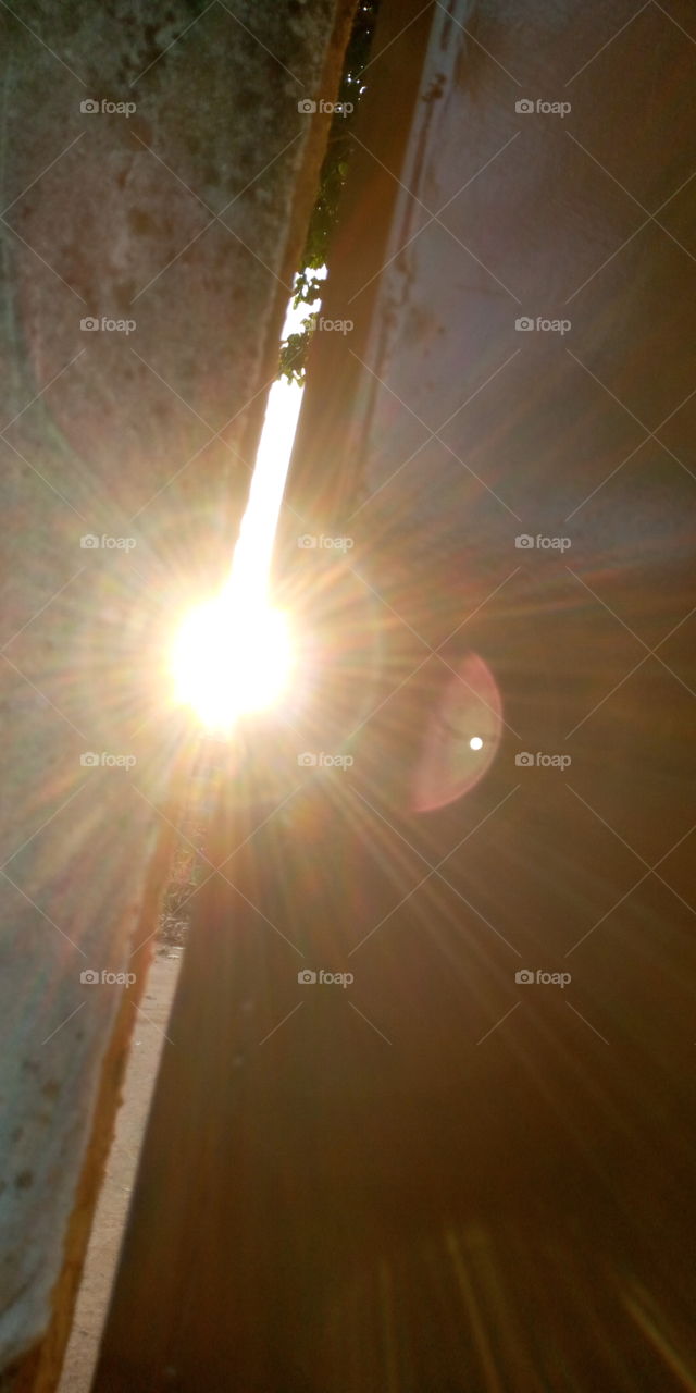 Sun