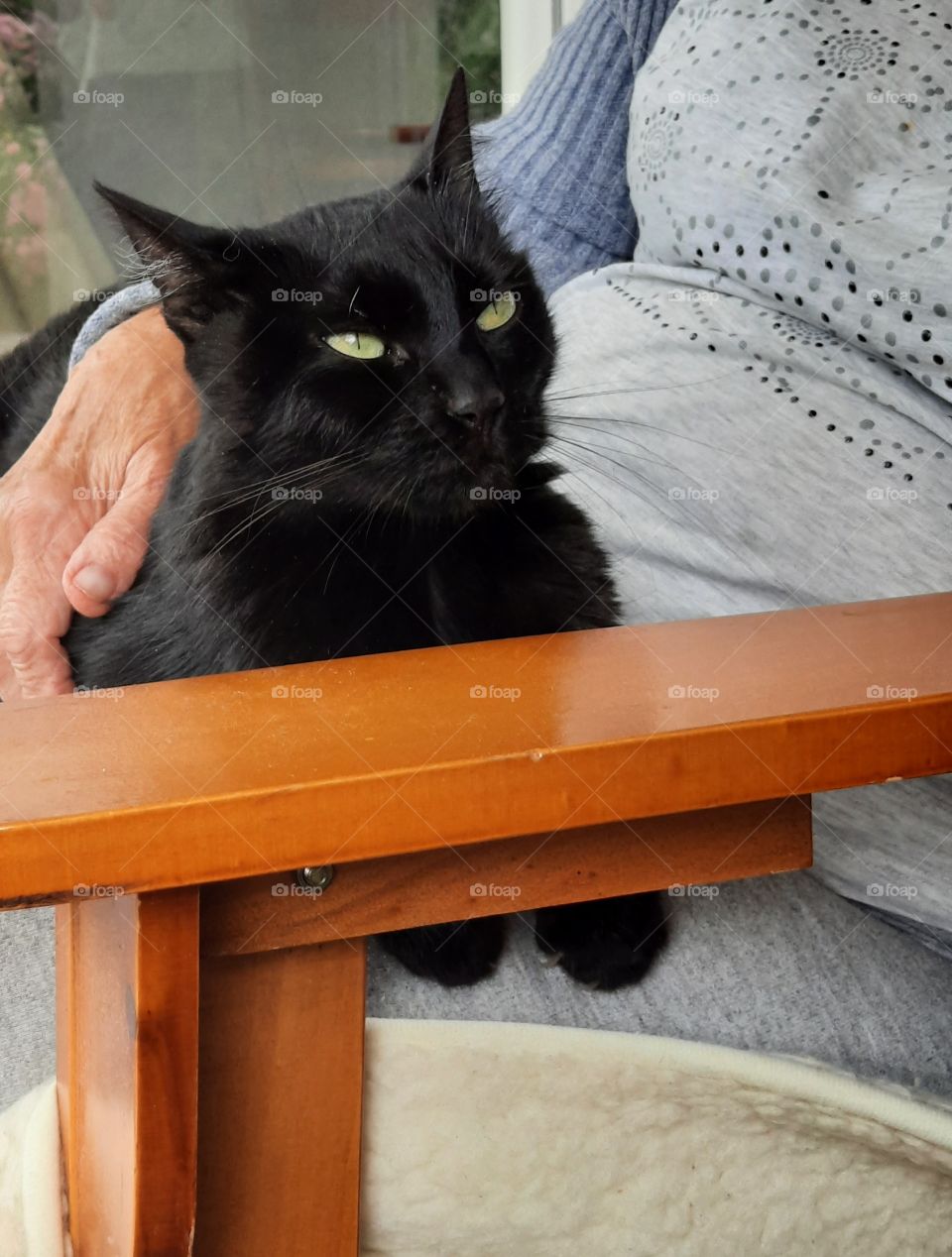 black cat on the lap of  old lady