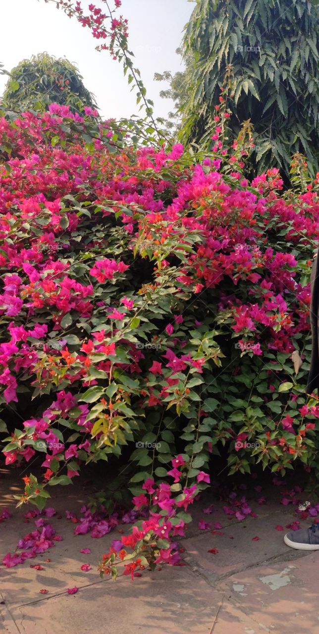 God made the nature with rainbow colors.