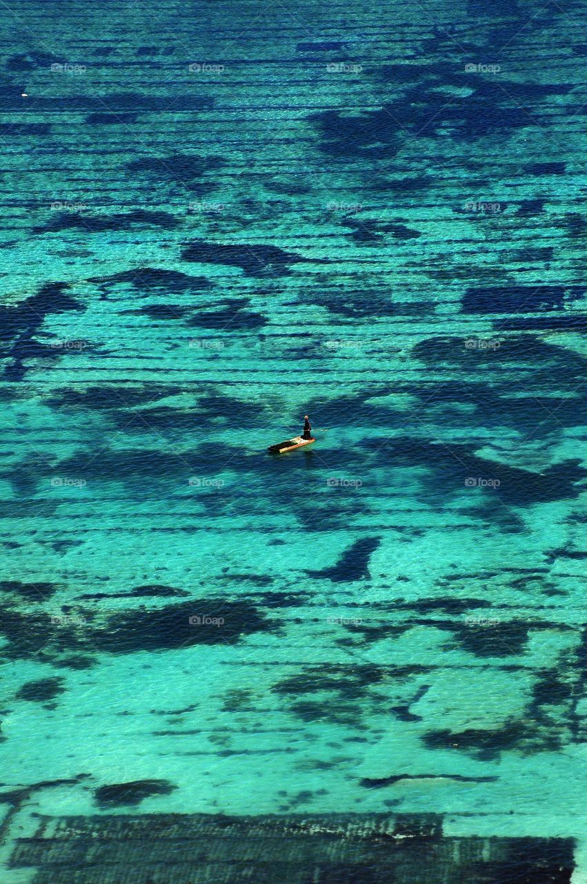 seaweed farm