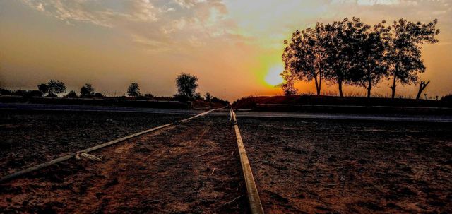 morning sun raise