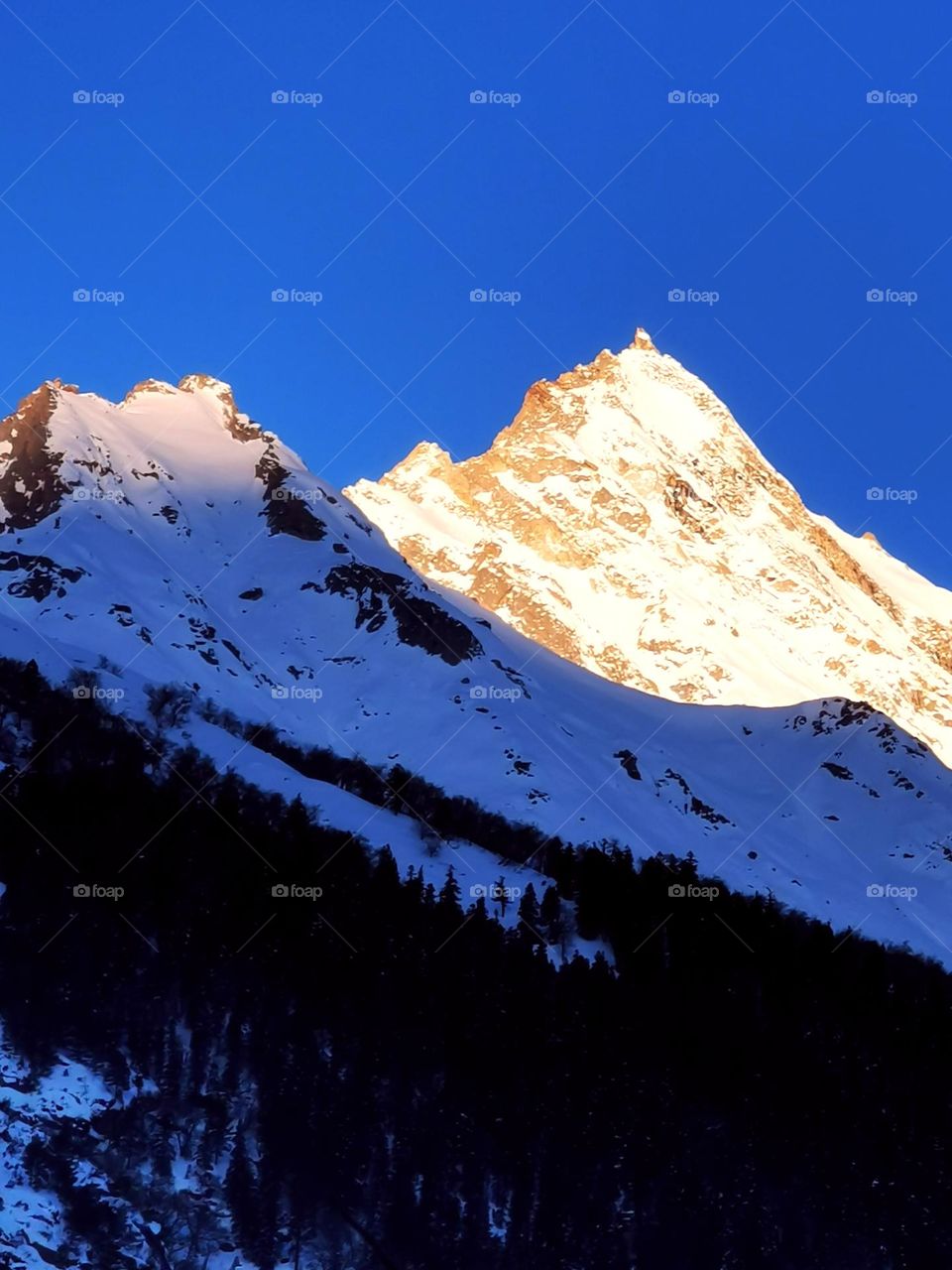 Mountain Snow Lights