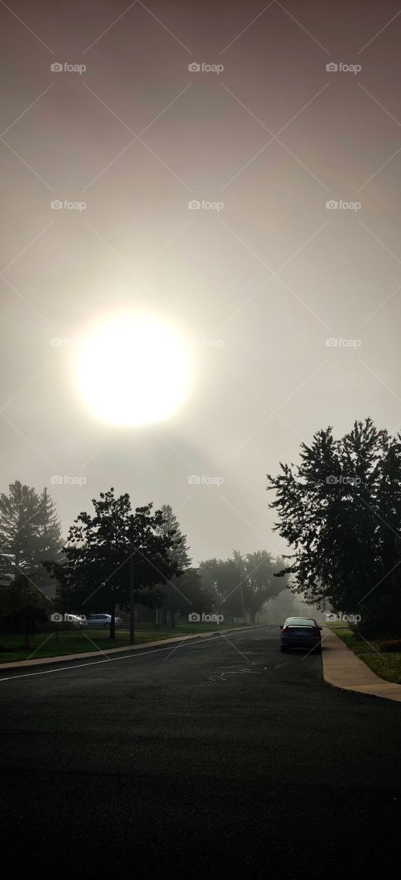 Fog on the morning street