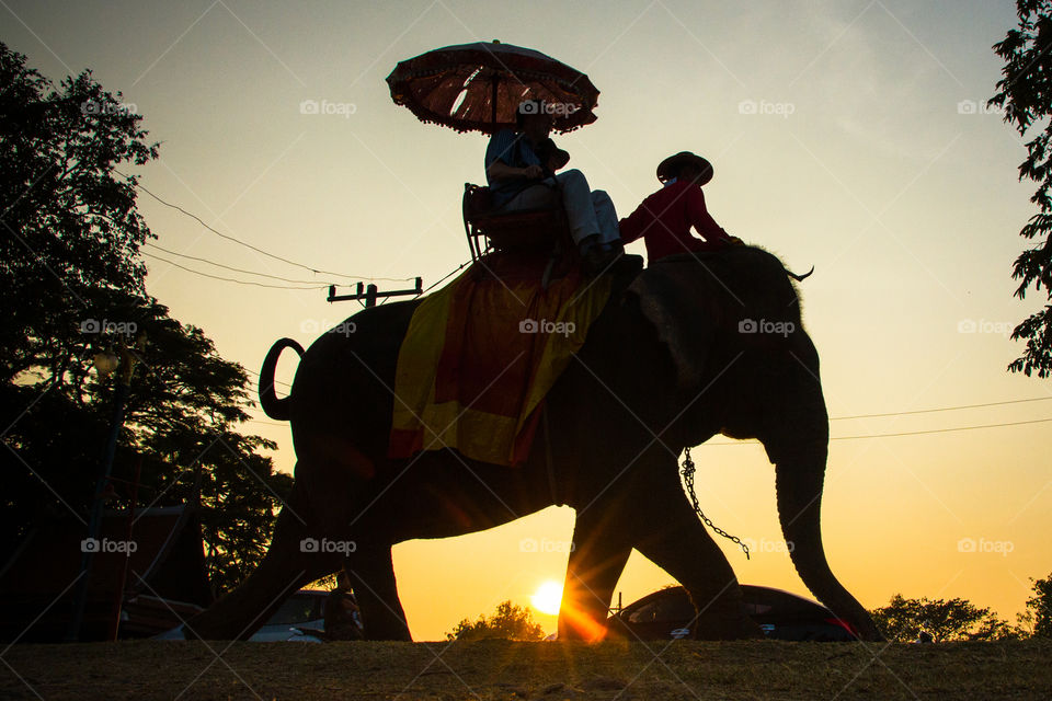 People, Adult, Man, Sunset, One