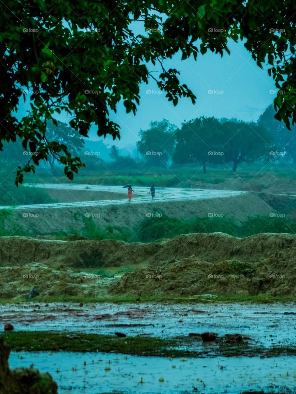 Rainfall in spring season