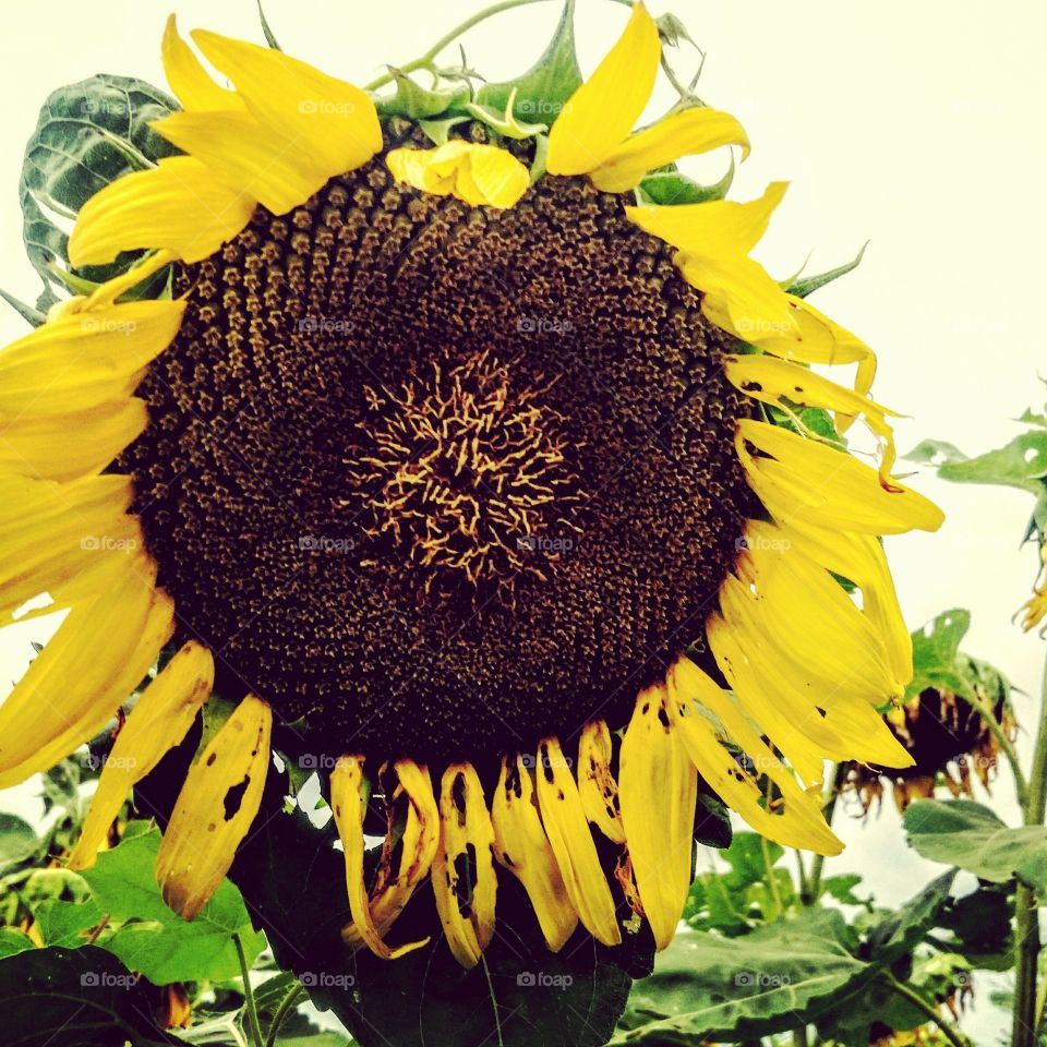 open for suggestions