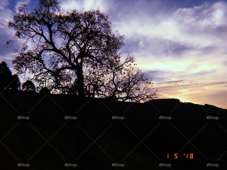 Shadow no por do sol