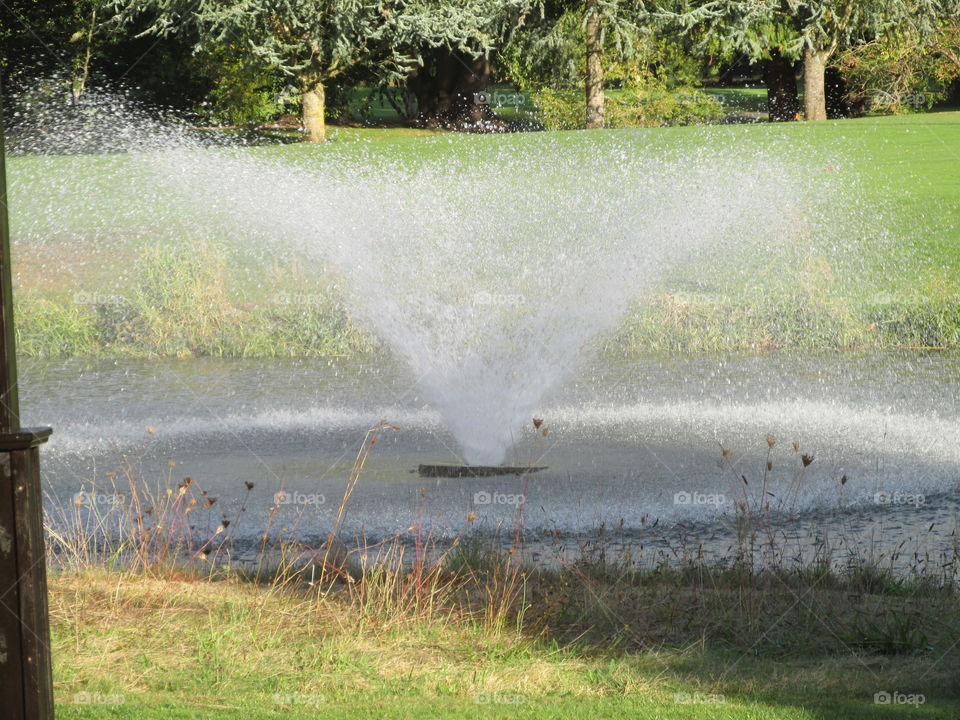 Water, Sprinkler, Landscape, Spray, Wet