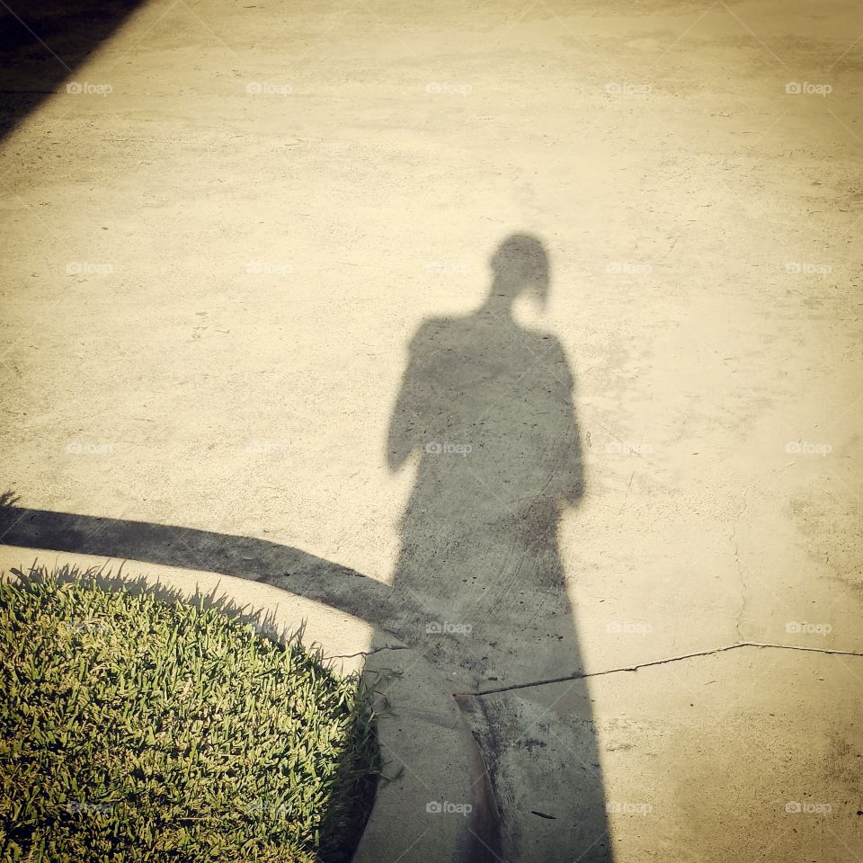 shadow