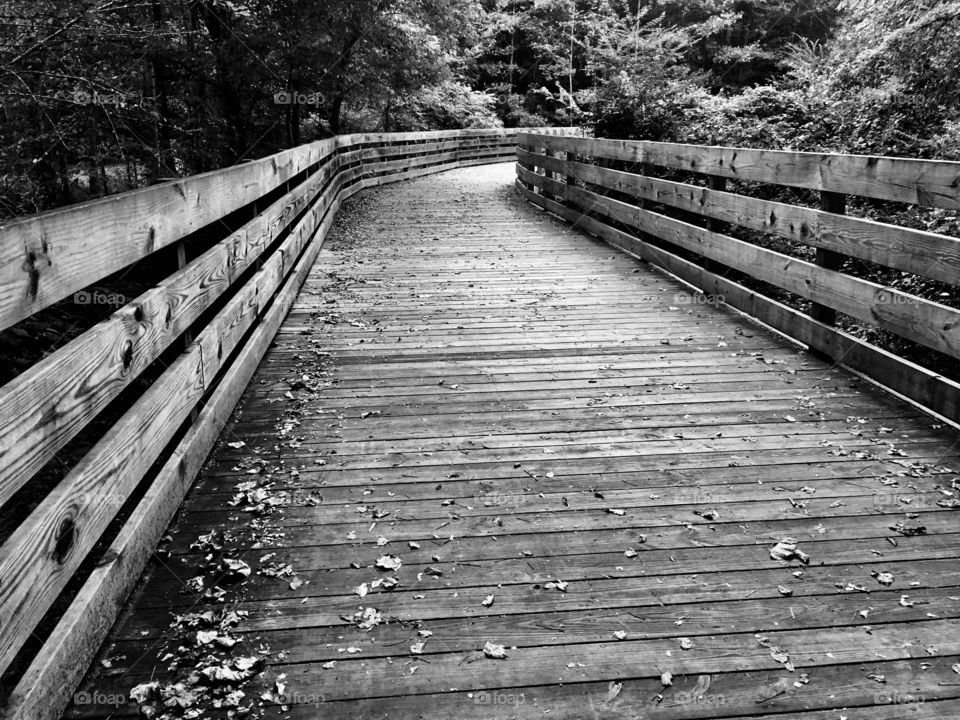 Bridge on the greenway