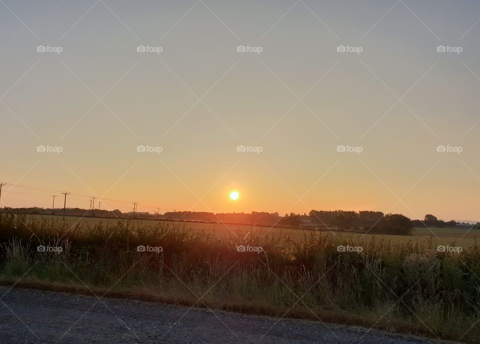 sunrise over wheat fields