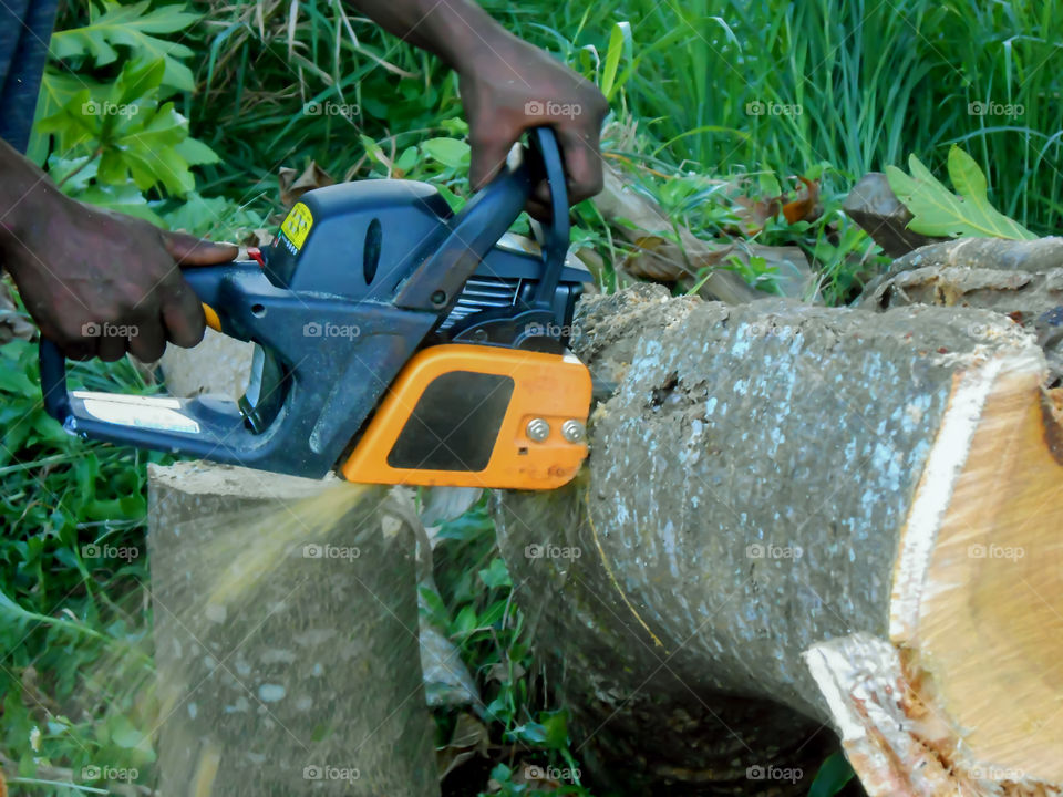 Chainsaw Cutting Through Tree Trunk