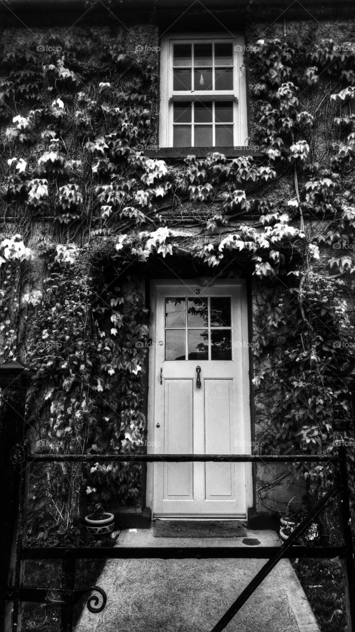 fantasy doorway. lovely home covered in lush healthy vines