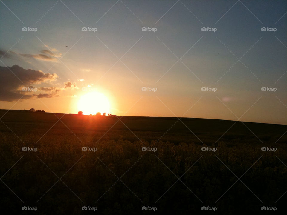 sweden sunset fields skåne by valmal
