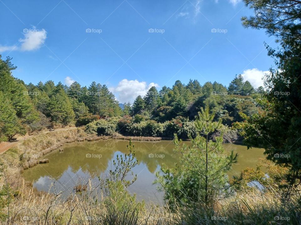 High-altitude wetland.